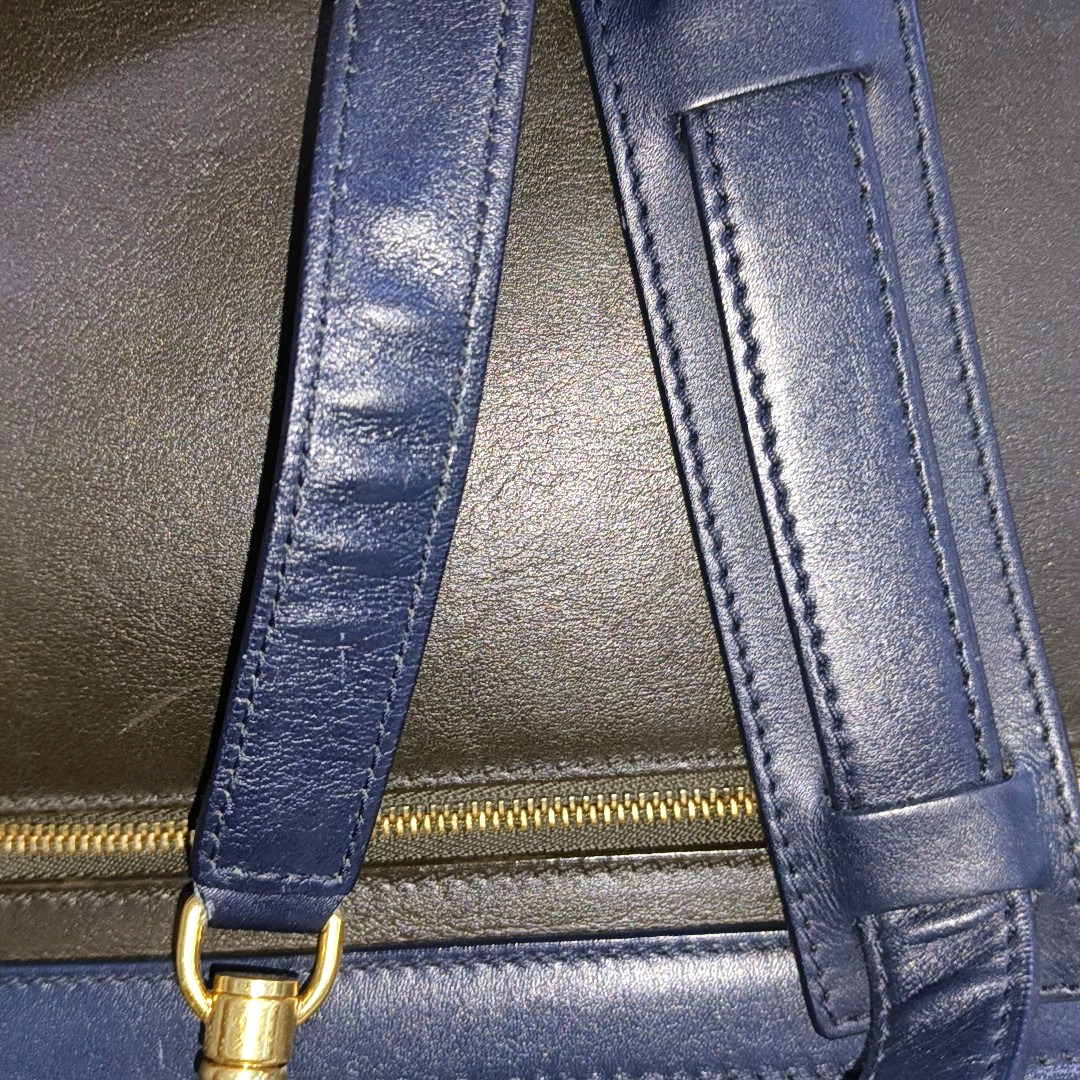 CELINE TRAPEZE Medium size Multicolor Cowhide Hammock Bag Single Shoulder Bag Handbag Golden hardware Removable shoulder strap-(SKU)-938678386