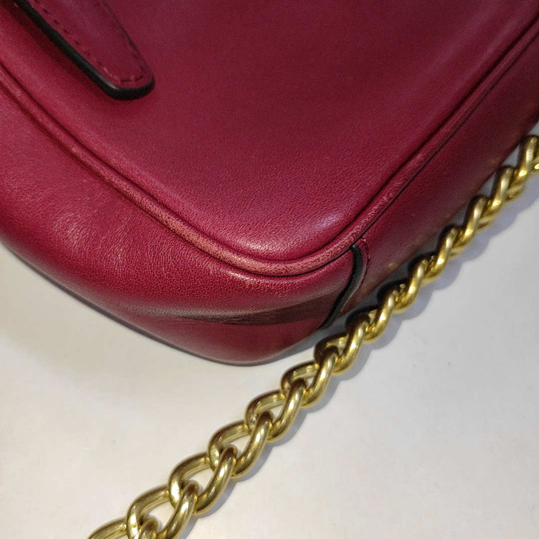 COACH Camera Bag Pink Leather Fringe Single Shoulder Crossbody Bag Golden hardware-(SKU)-14510402