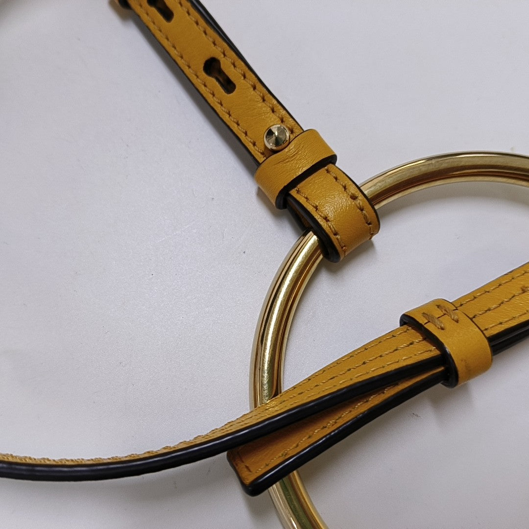 Chloé Faye Small size Yellow Leather Single Shoulder Bag Crossbody Bag Handbag Golden hardware Removable shoulder strap-(SKU)-954686594