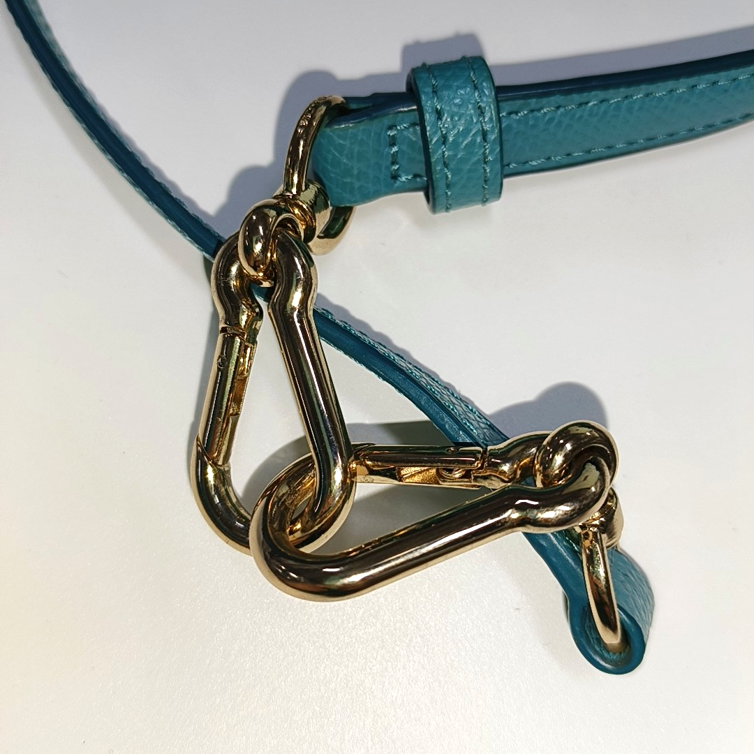 COACH CORA Light Blue Cowhide Crossbody Tote Shoulder Bag Golden hardware Removable shoulder strap-(SKU)-14348899