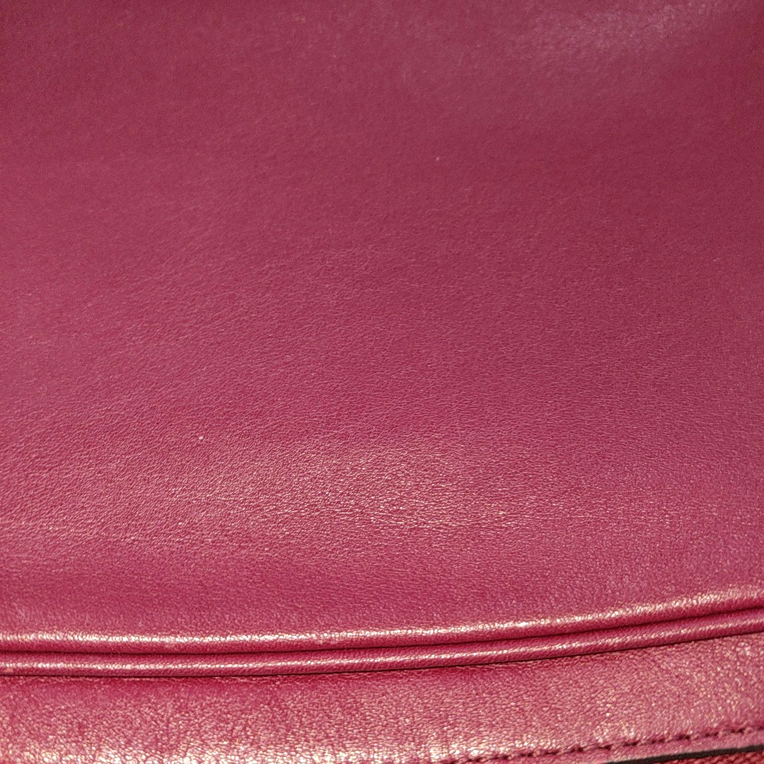 COACH Camera Bag Pink Leather Fringe Single Shoulder Crossbody Bag Golden hardware-(SKU)-14510402