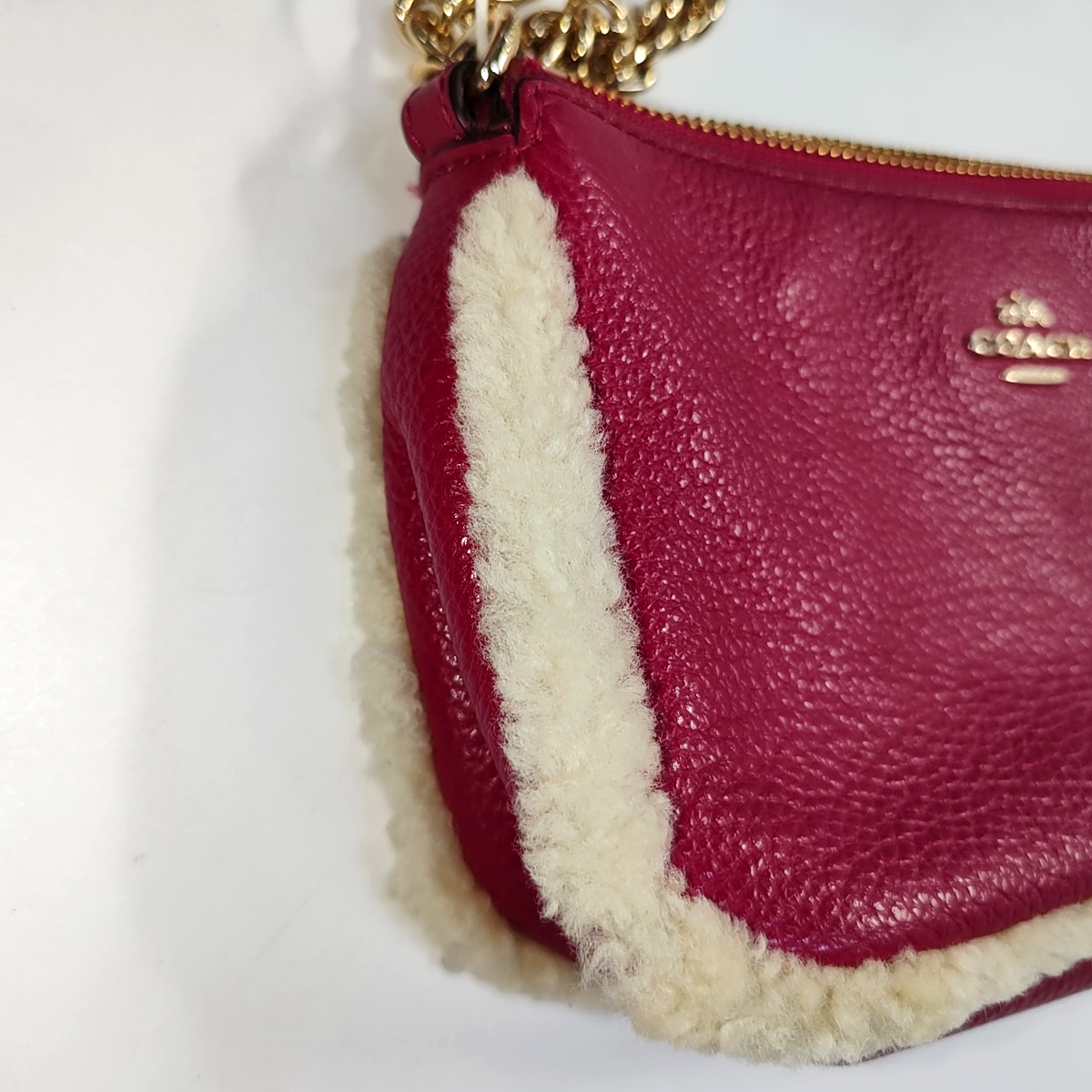 COACH NOLITA 19 Red Calfskin Carriage Tote Bag Golden Silver Hardware-(SKU)-937192223