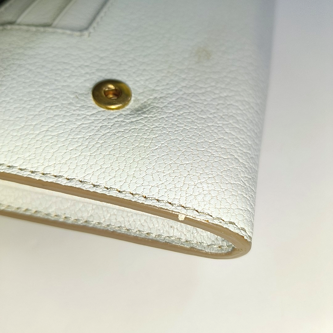 CELINE Light Blue Calfskin Wallet Golden hardware-(SKU)-940440188