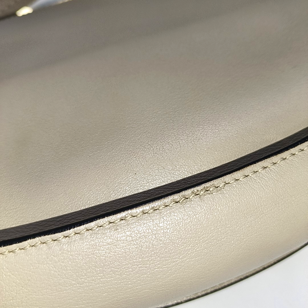 Chloé Georgia Light Gray Cowhide Crossbody Bag Golden hardware Removable shoulder strap-(SKU)-14414002