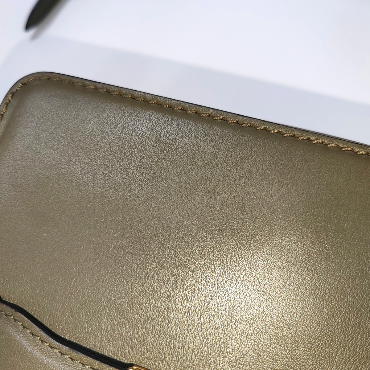 Alexander McQUEEN Camera Bag Dark Green Calfskin Embossed Single Shoulder Bag Golden hardware Removable shoulder strap-(SKU)-940170035