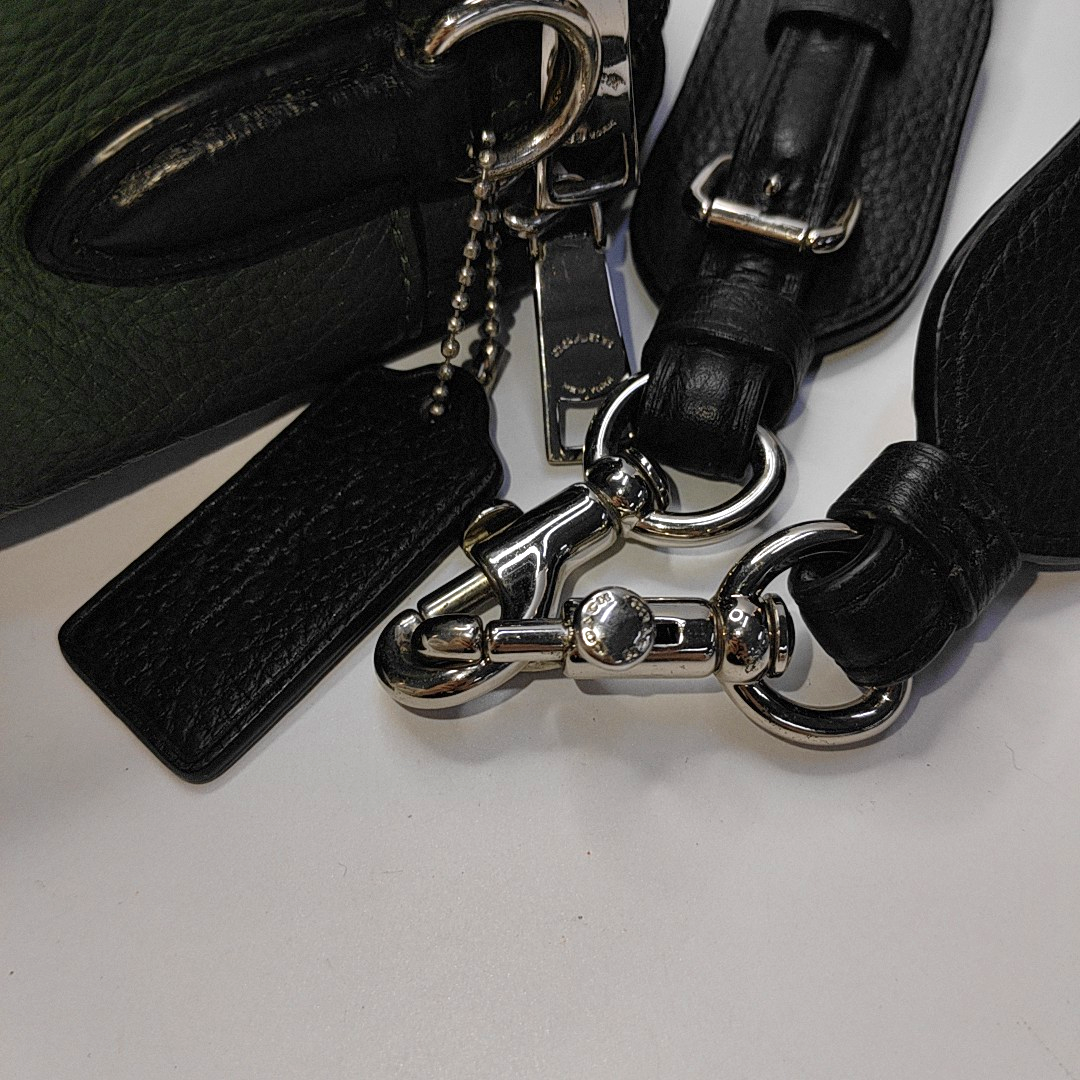 COACH Camera Bag Green Leather Printed Carriage Crossbody Shoulder Bag Handbag Silver Hardware Removable shoulder strap-(SKU)-935012014