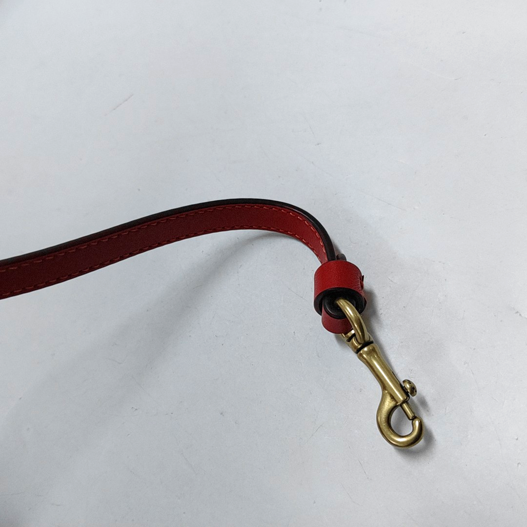 COACH CASHIN mini Red Leather Single Shoulder Bag Crossbody Bag Handbag Golden hardware Removable shoulder strap-(SKU)-950892383