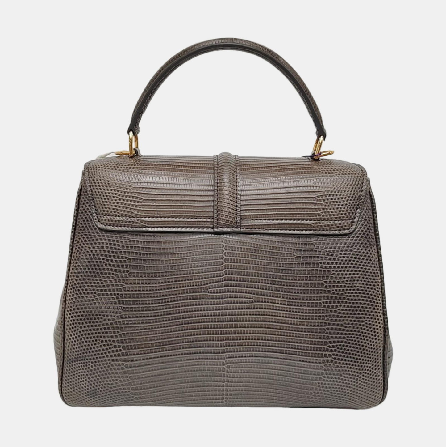 CELINE 16 Small Size Grey Lizard Skin Crossbody Shoulder Bag with Gold Hardware, Detachable Strap, Complete Accessories-(SKU)-966431025