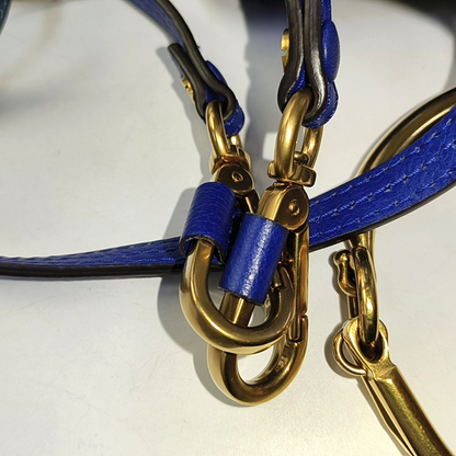 Chloé Nile Blue Cowhide Single Shoulder Bag Sling Bag Tote Golden hardware Removable shoulder strap-(SKU)-942720011