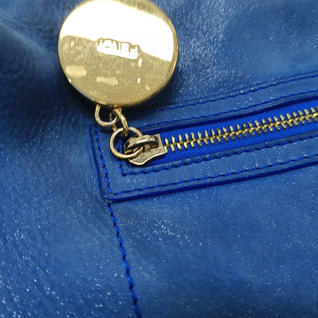 FENDI Blue Cowhide Crossbody Bag Golden hardware-(SKU)-13379706
