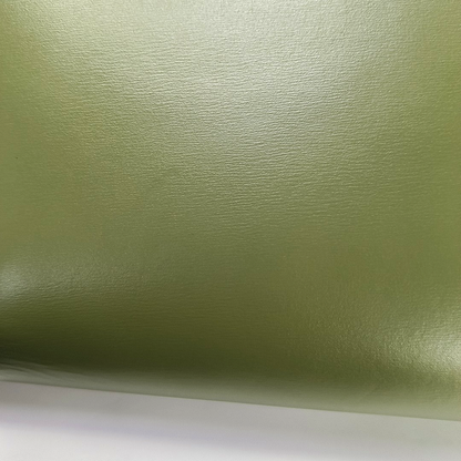 CELINE TRIOMPHE Medium Green Calfskin Shoulder Bag with Gold Hardware-(SKU)-959931687